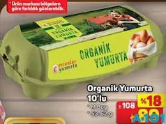 ORGANİK YUMURTA 10'LU